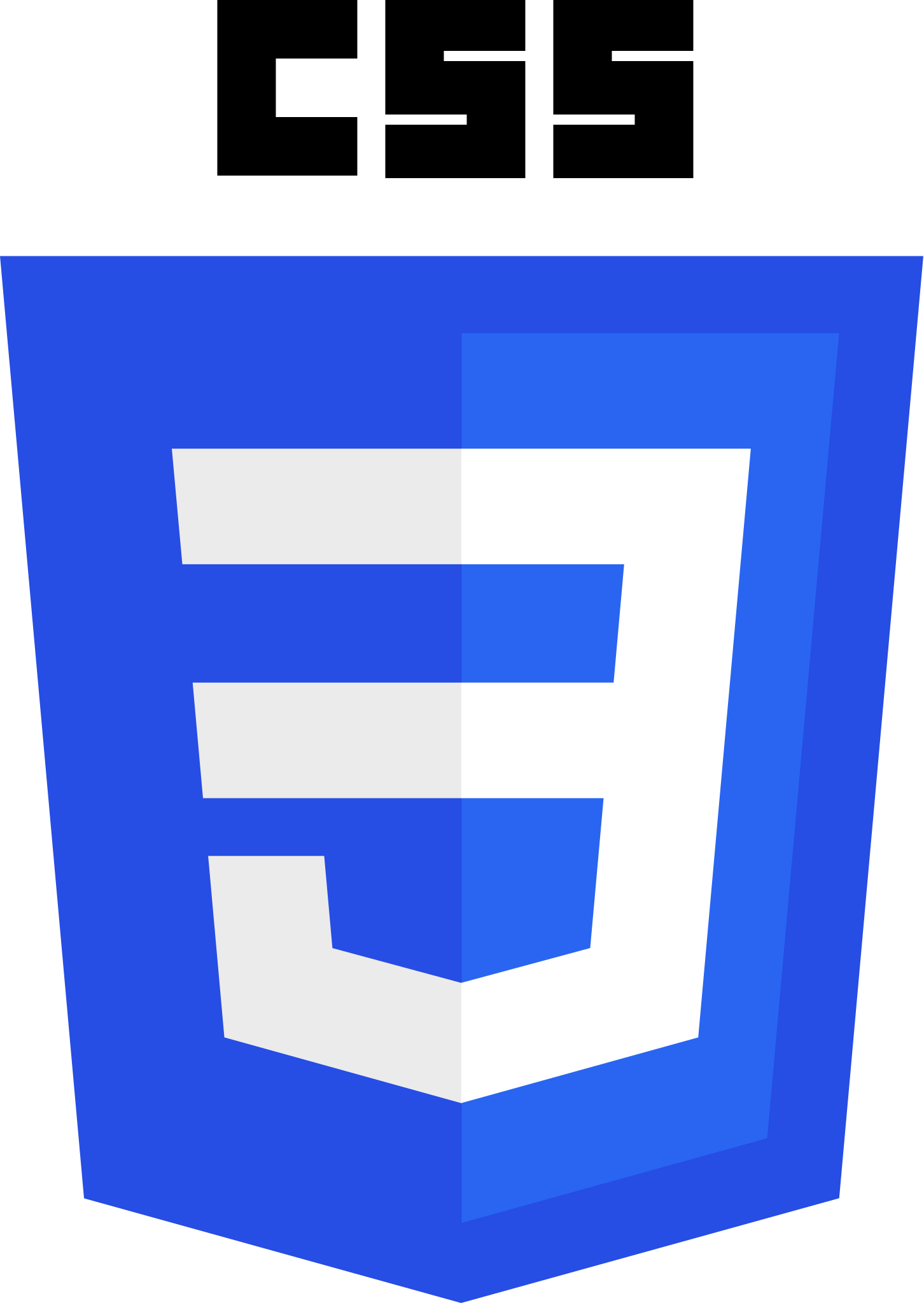 CSS-logo